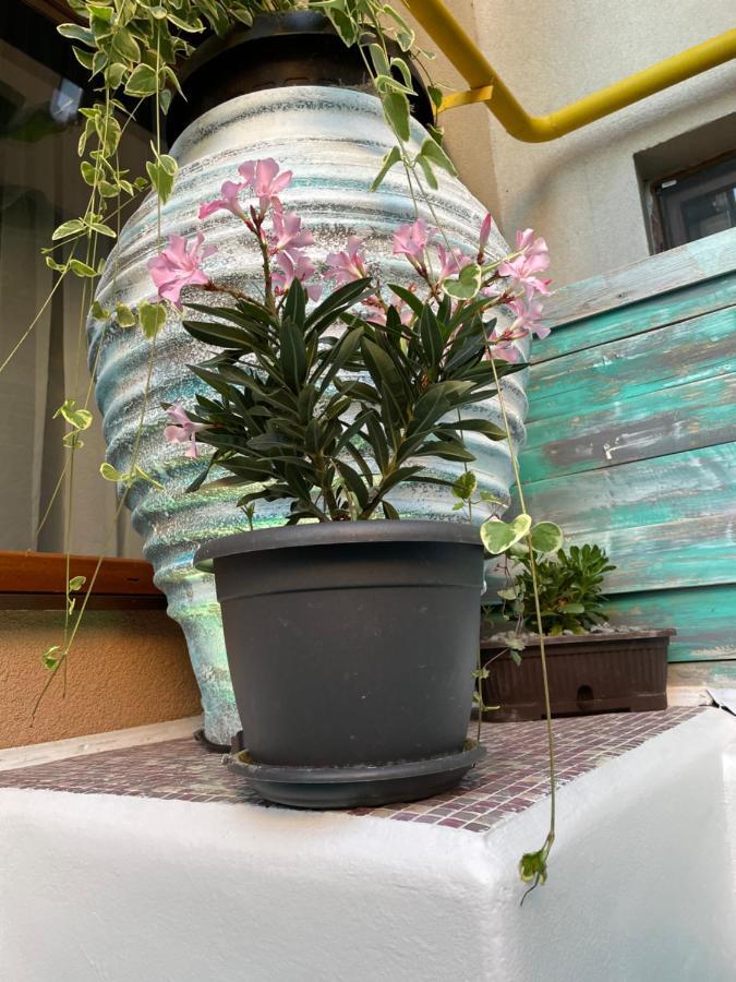 Arcadia Apartament Mamaia Nord Năvodari Zewnętrze zdjęcie